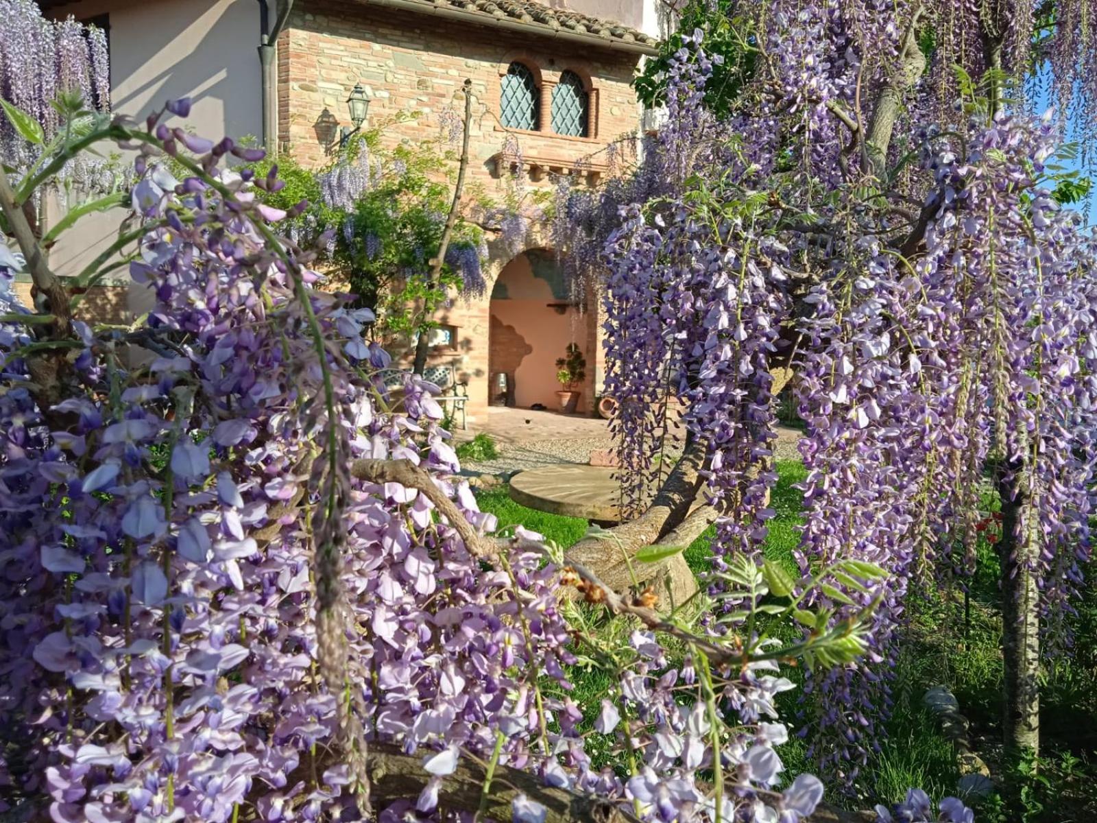 B&B Il Poggetto Montespertoli Kültér fotó