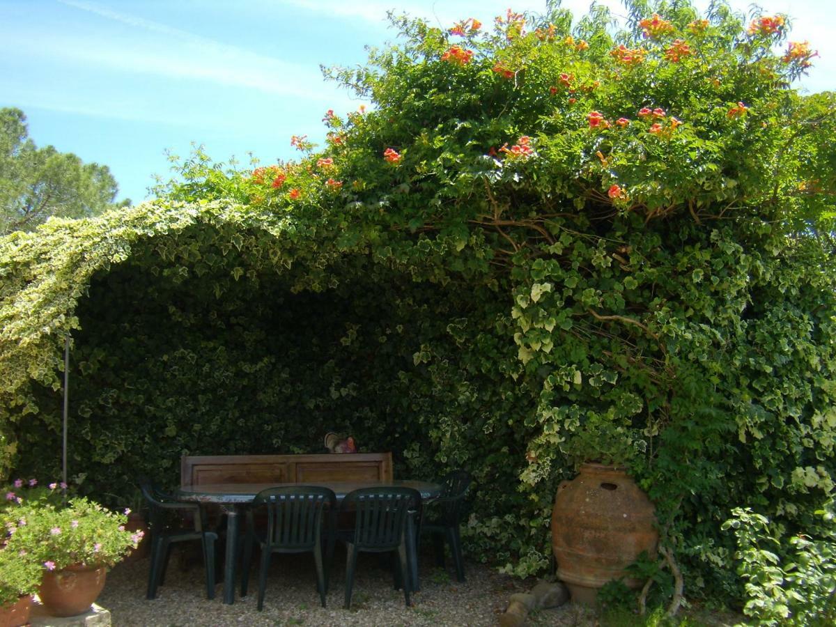B&B Il Poggetto Montespertoli Kültér fotó