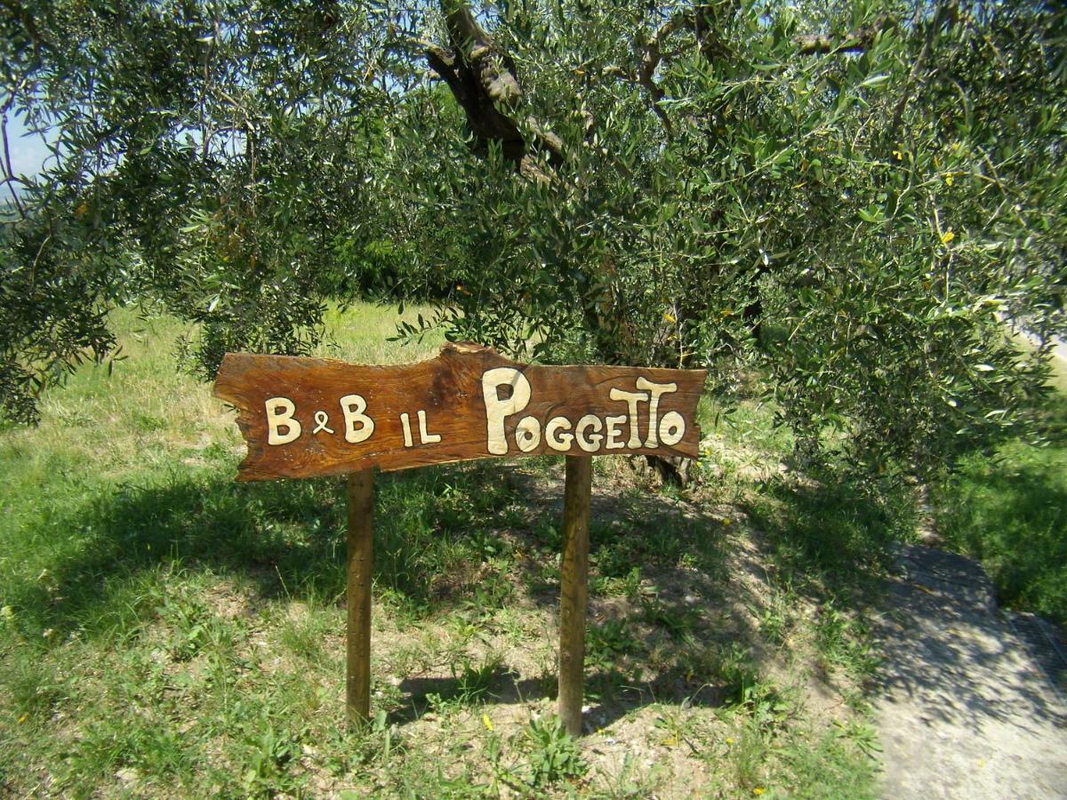B&B Il Poggetto Montespertoli Kültér fotó