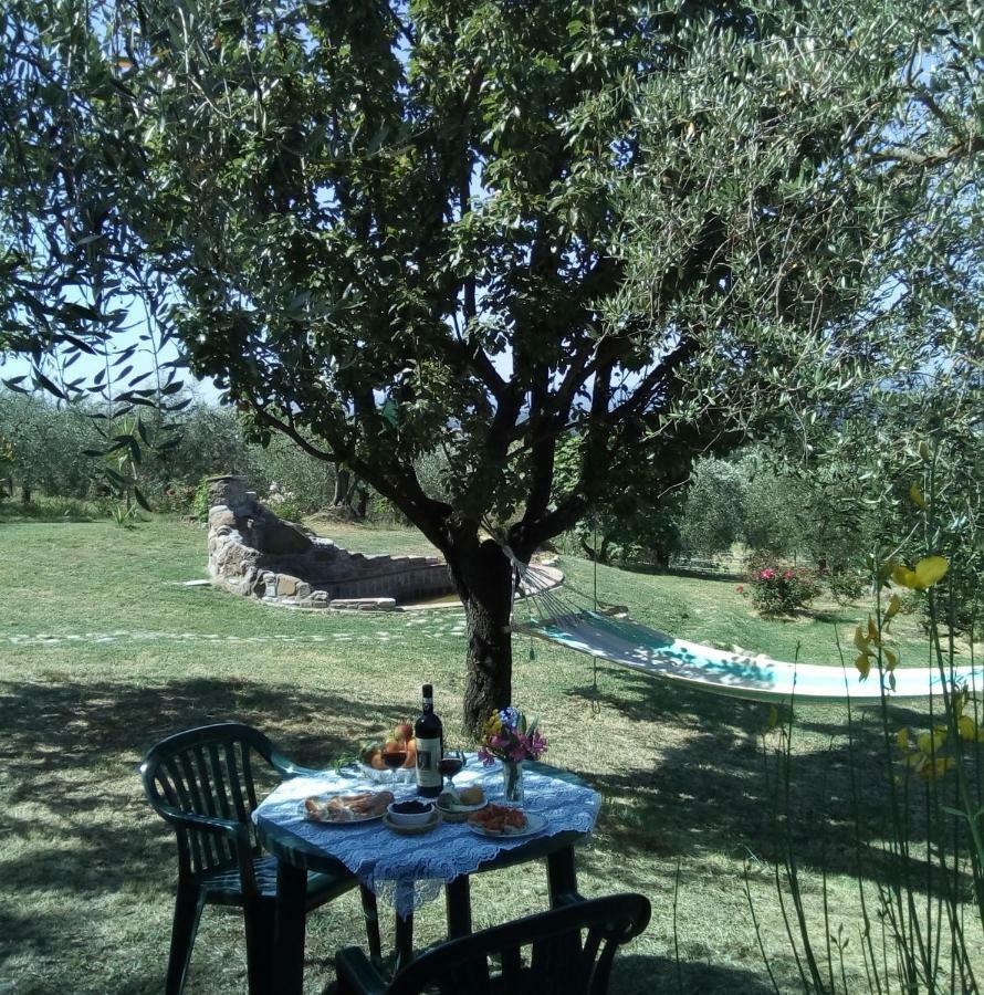 B&B Il Poggetto Montespertoli Kültér fotó